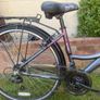 Apollo Elyse Women's Bike with Carrier Basket Image 3