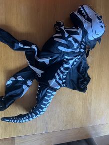 Dinosaur Kids Costume