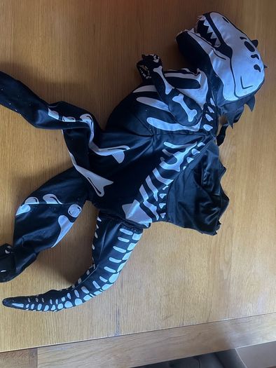 Dinosaur Kids Costume