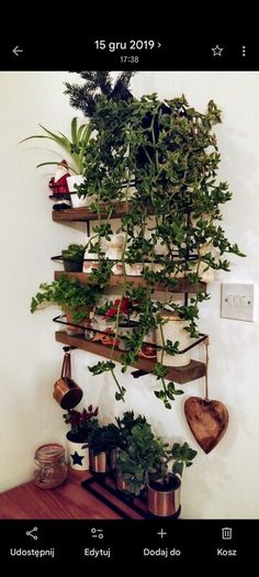 wooden shelf