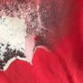 Roberto Cavalli t shirt Image 3
