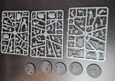 Warhammer Age of Sigmar 5 Liberators