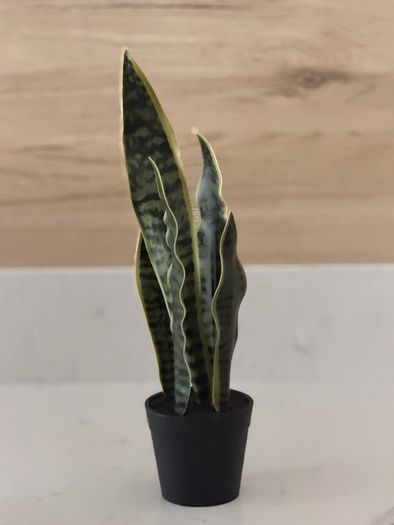 Artificial plants x3
