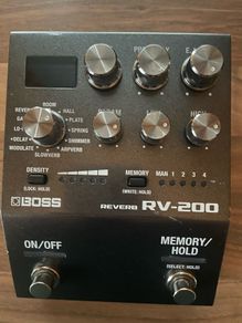 Boss RV-200