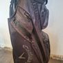 Golf Clubs & Callaway Golf Bag Image 2