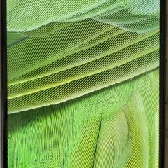 Google Pixel 7 256GB