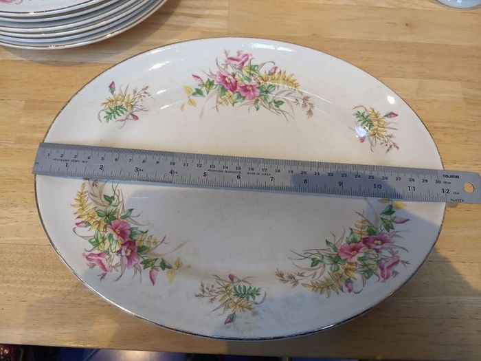 Beautiful 1950s Almost Complete Dinner Service by Arklow Pottery in Pattern Number 2508