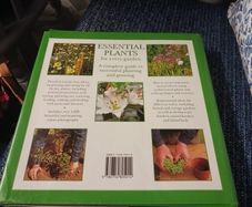 Essential plants for Every Garden