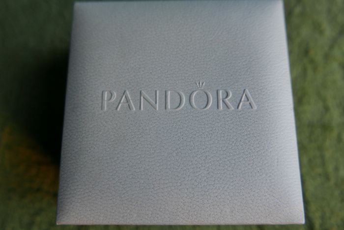 Authentic Pandora Charm Bracelet with 5 Charms Sterling Silver Designer Charm Bead Bracelet 14,5g