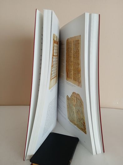 I Vangeli dei popoli: La Parola e l'immagine del Cristo nelle Culture e nella Storia Edited by Francesco D'Aiuto, A. M. Piazzoni and Giovanni Morello (RB380)