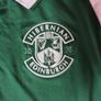 Hibernian jersey Image 2