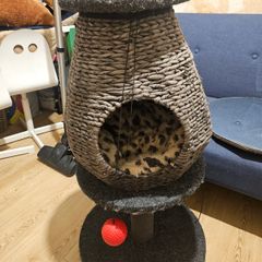 Cat tower/bed