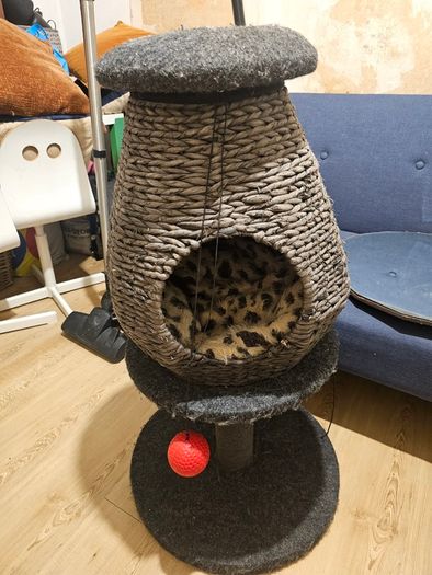 Cat tower/bed