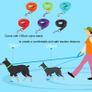 No Pull Pet Dog Harness and Leash Set Adjustable Puppy Cat Harness Vest Reflective Walking Lead Leash For Small Dogs Chihuahua Image 3