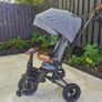 Toddler trike Image 2