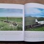 The Emergency In Colour - 2024 Book Image 3