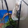 Fish tank Image 8