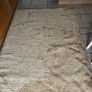 Rug Image 2