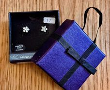 Platinum Plated Star Earrings