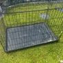 large dog crate Image 2