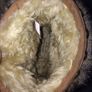 River Island Native Indian Boots size 4 Image 7