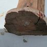 Folk Art Image 9