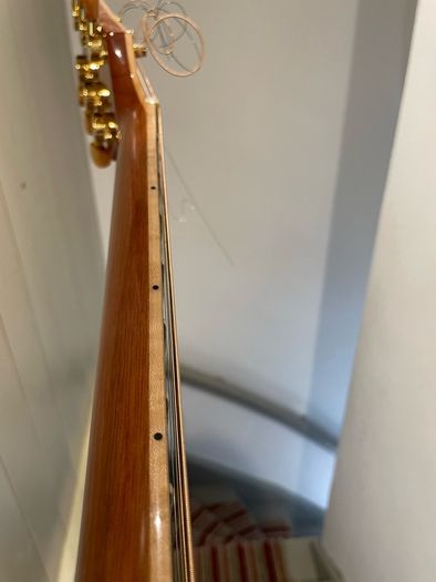 Takamine Acoustic guitar