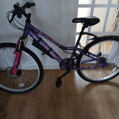 Apollo Bicycle - Only 85