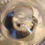 Pair of Rare Irish WATERFORD Martini Glasses #410286 1962 - Mint Condition. Image 9