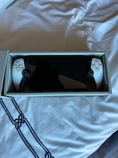 Playstation Portal
