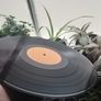 Bit of vinyl+more Image 9