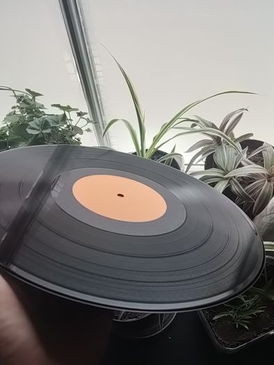 Bit of vinyl+more