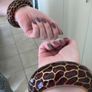 Panther print enamel bracelet from Mawi Image 6