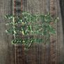 ED Hardy Denim Jacket.  More of a black/grey colour.  Fitted jacket.  Sleeves are long.  The decoration on the back is typical Ed Hardy Image 3