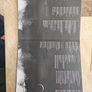 Chasing Suns LP (Signed) - Pigeons On The Gate Image 2