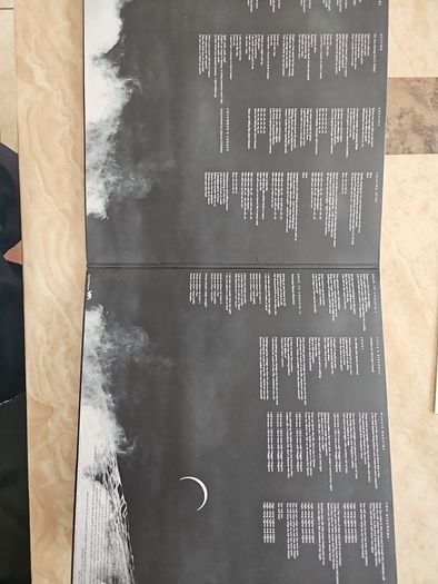 Chasing Suns LP (Signed) - Pigeons On The Gate