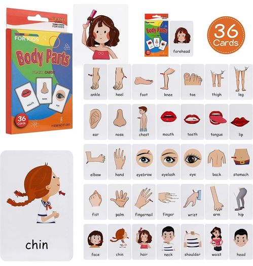 Kids Flash Cards Set Flash Cards for Children Early Learning Flash Cards Flash Cards for Toddlers Age 2-4 Baby Cards for Toddlers 1 2 3 4 years 4 Pack-144pcs Animals Fruits Body Parts & Colors