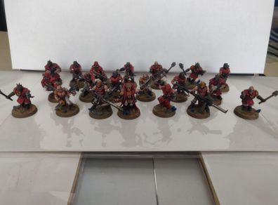 Chaos Cultists pro painted