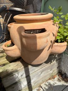 terracotta herb pot