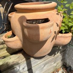 terracotta herb pot