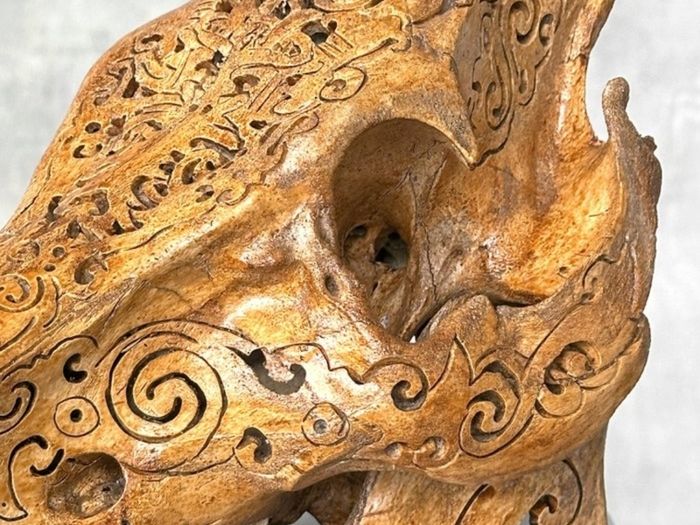 Authentic Hand Carved Wild Boar Skull - Bone