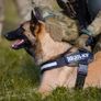 JULIUS K9 IDC Power Harness Black Image 4