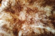 Genuine Icelandic Sexto Sheepskin Rug Extra Large (160cm x 140cm)