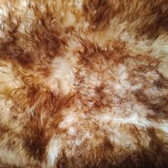 Genuine Icelandic Sexto Sheepskin Rug Extra Large (160cm x 140cm)