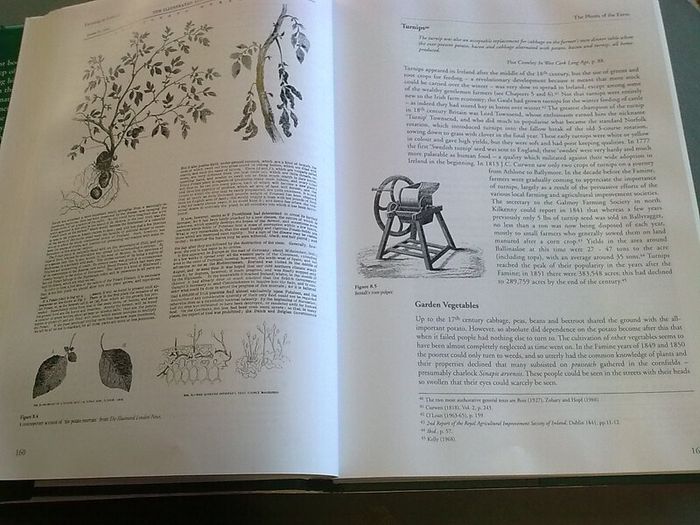 Farming in Ireland History Heritage and Environment by John Feehan Irish history