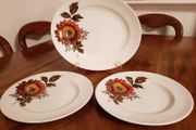 Retro 1970s Stunning China Set Serving Platter &amp; 2 Plates