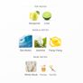 Musc Palawan by  Lorga Parfums Image 2