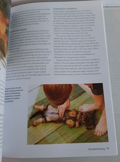 The perfect puppy book