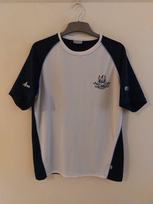 dublin gaa jersey