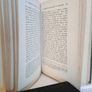 The Last Independent Parliament of Ireland: With Account of the Survival of the Nation and Its Lifework by George Sigerson (CP123) Image 7